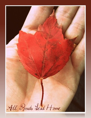 [Fall%2520Leaf%25202011%2520ARLH%255B3%255D.jpg]
