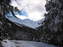 snow-15