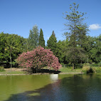 Parque Eduardo VII
