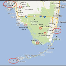Shark Valley: Everglades NP