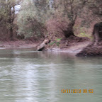 IMG_3066.JPG