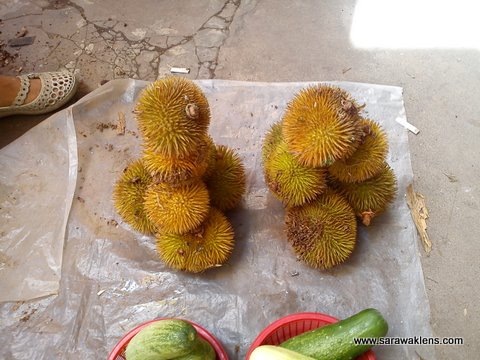 [durians_sarawak_market_2%255B2%255D.jpg]