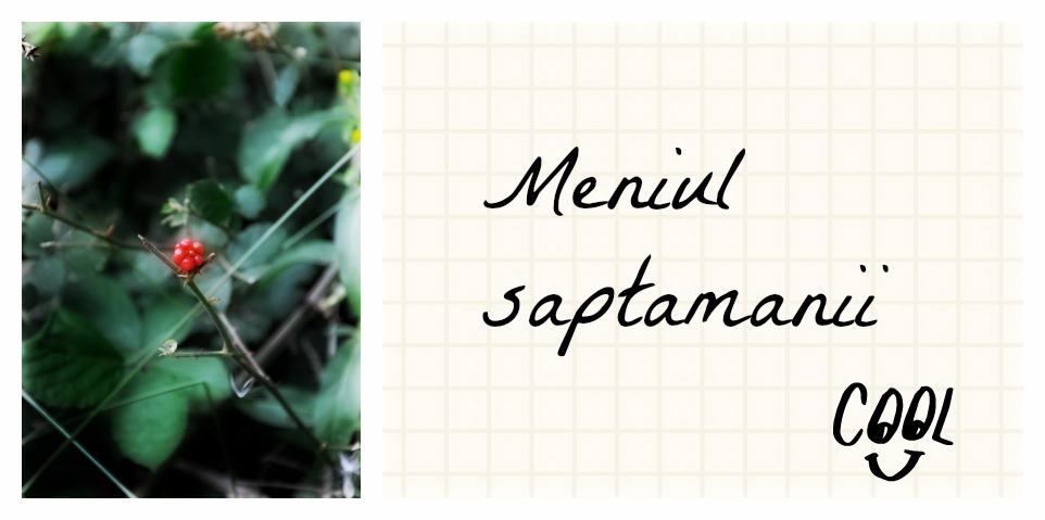 [PicMonkey%2520Collage444%255B3%255D.jpg]