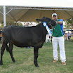 superleite2011_dia1607_65.JPG