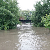 That's the train bridge over yonder. Tough to see in this shot, but the normally placid little creek became a category something or other rapids under the train trestle. That's the bike path railing in the foreground.