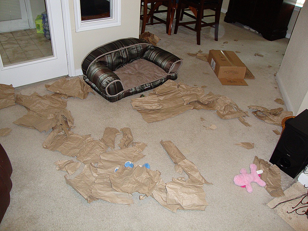 [DSC05380%255B8%255D.jpg]