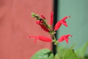DSC_0228 DSC_0228
