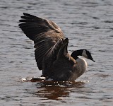 DSC_1900.JPG