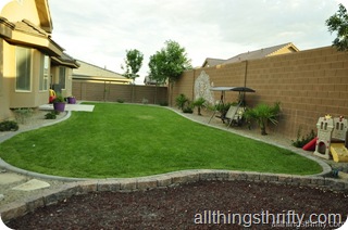 backyard after backyard after