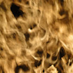 230271_117186411699660_100002249044057_157873_4023513_n.jpg