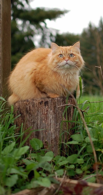 [DSC_5858%255B4%255D.jpg]