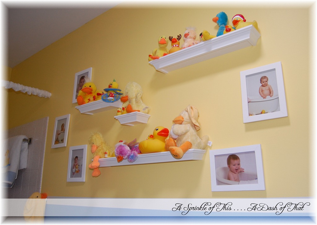 [kids-duck-bathroom-display-wall-A-Sp.jpg]
