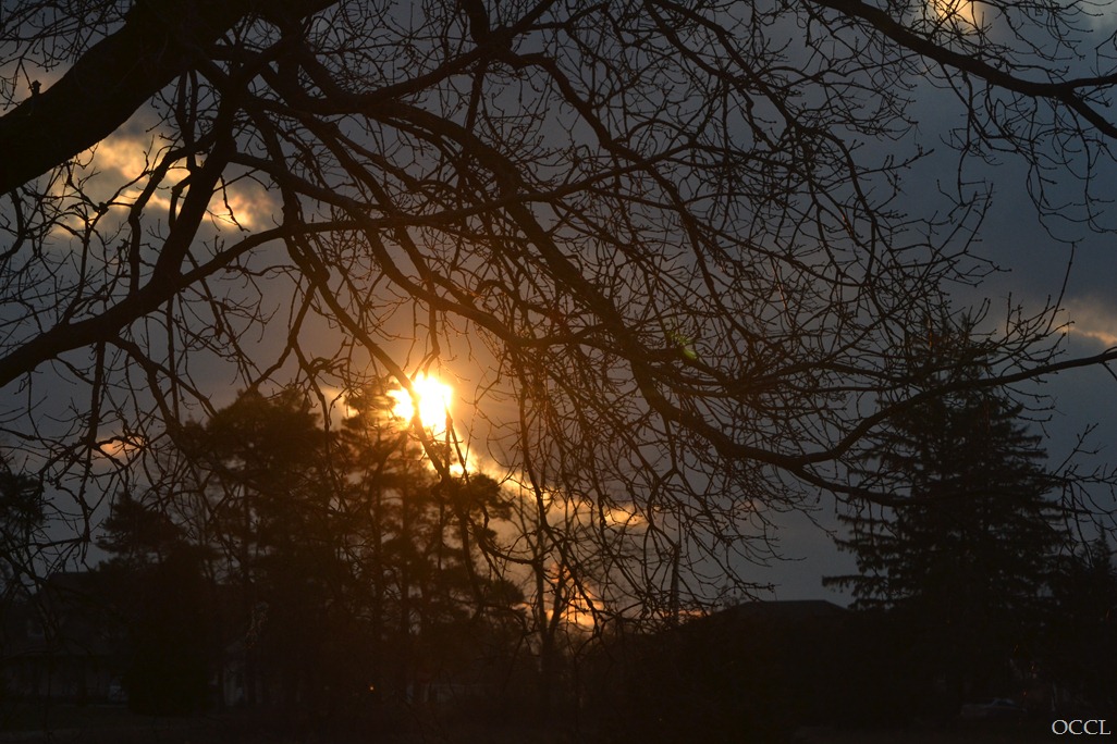 [DSC_5651%255B3%255D.jpg]
