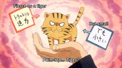 Palm-top Tiger as explained in the show