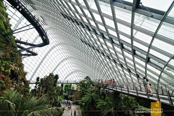 The Cloud Forest Treetop Walk at Gardens by the Bay