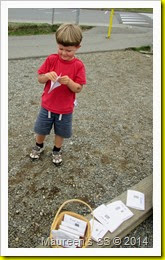 IMG_4950 IMG_4950