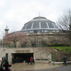 IMG_4056.JPG