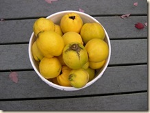 Quince, anyone