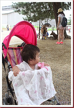 IMG_5201 IMG_5201