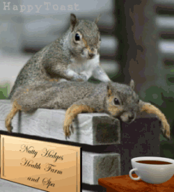 image015