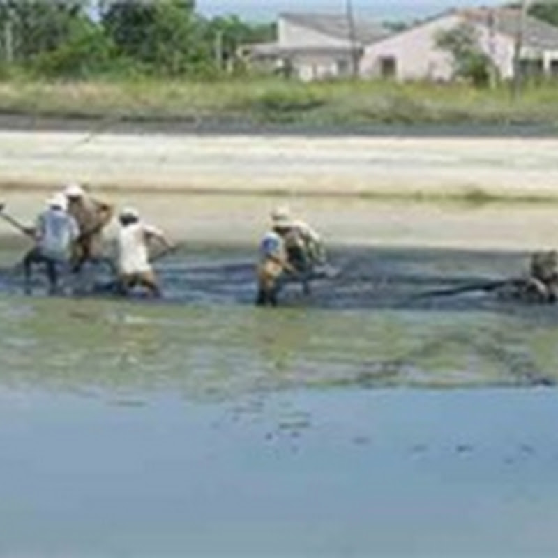 Độ Kiềm trong nuôi trồng thủy sản