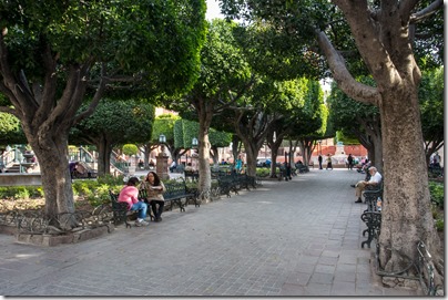 IMG_3614 IMG_3614