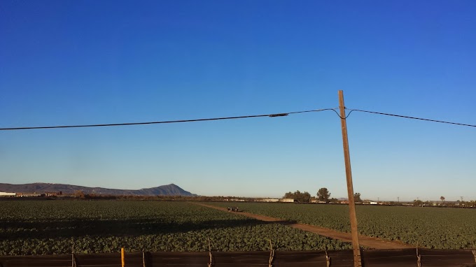 Farm fields south of Maneadero 20131226_073801.jpg