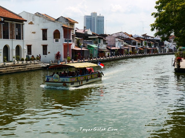 [P10003562.jpg]