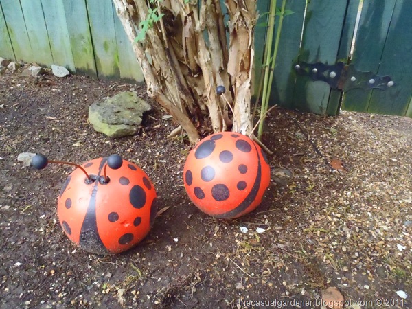 [PallenSmith%2520Bowling%2520Ball%2520Bugs%255B10%255D.jpg]