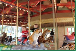 carousel carousel