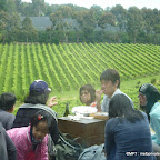 Mornington Peninsula Winery 2