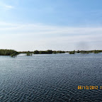 IMG_7998.JPG
