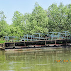IMG_7724.JPG