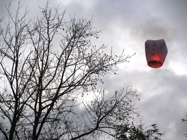 [IMG_51893.jpg]