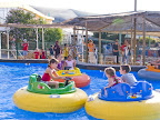 p1237684964(5).jpg