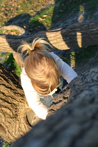 [IMG_4671%255B3%255D.jpg]