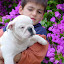BULLDOGINGLESSUPERMODERNODOCANILAMICHETTI