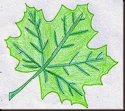 Andrea Alfaro 1 Andrea Alfaro 1