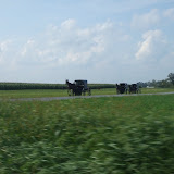 Amish Horse and Buggy