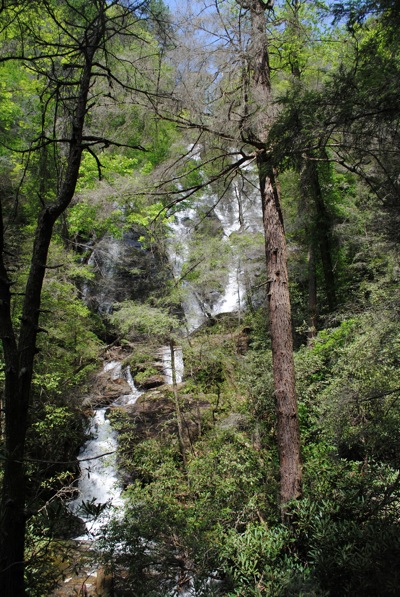 DSC_2454_2.jpg DSC 2454 2