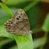 P1110760