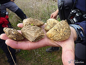 [P11202157.jpg]