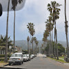 DSC_0393.JPG