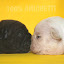 FILHOTESBULLDOGFRANCESCANILAMICHETTIF1193868744