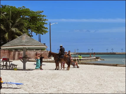 Higgs Beach, Key West