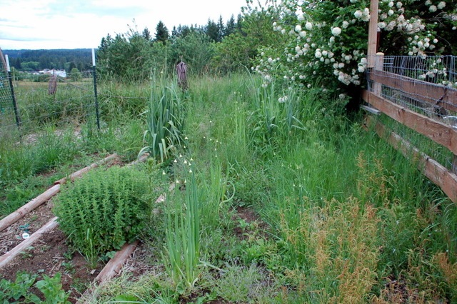 [DSC_6142%255B4%255D.jpg]