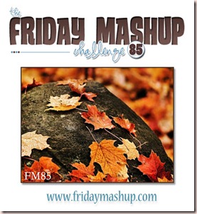 fri mashup 85