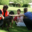 ASB Rettungshunde bei der Lebenshilfe in St. Augustin (18.05.2011)