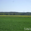Wał Zielonogórski dsc06385.jpg
