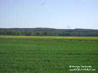 Wał Zielonogórski